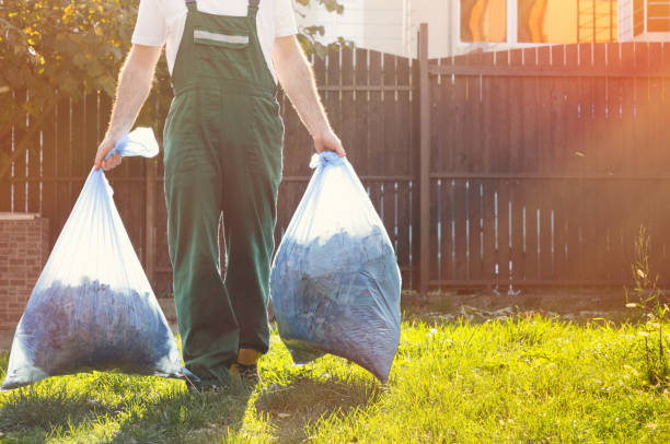 Best Electronics Removal Services  in Mount Arlington, NJ